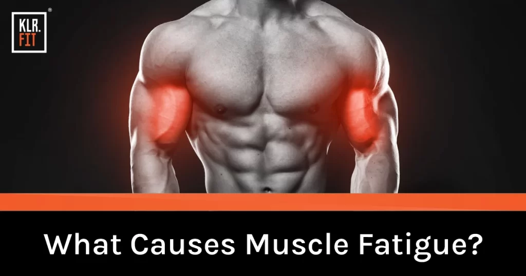 What Causes Muscle Fatigue?
