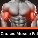 What Causes Muscle Fatigue?
