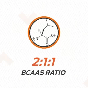 Klr.Fit BCAA 2:1:1